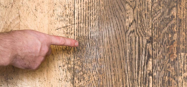 Wood Door Scratch Repair in Stuart